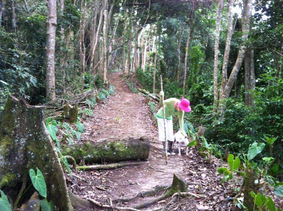 Готель Mahogany Ridge Arouca Екстер'єр фото